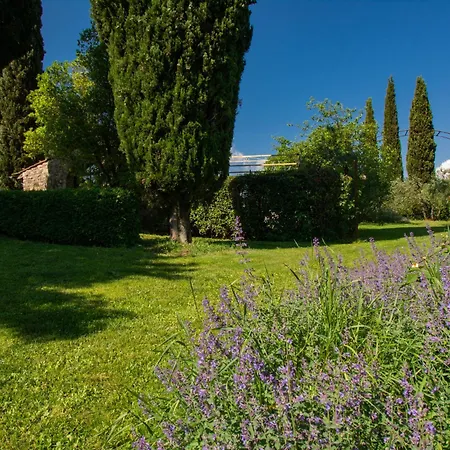 Il Fienile By Interhome Holiday home *